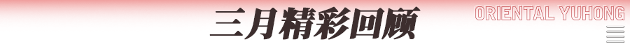 东方雨虹：风鹏正举势如虹
