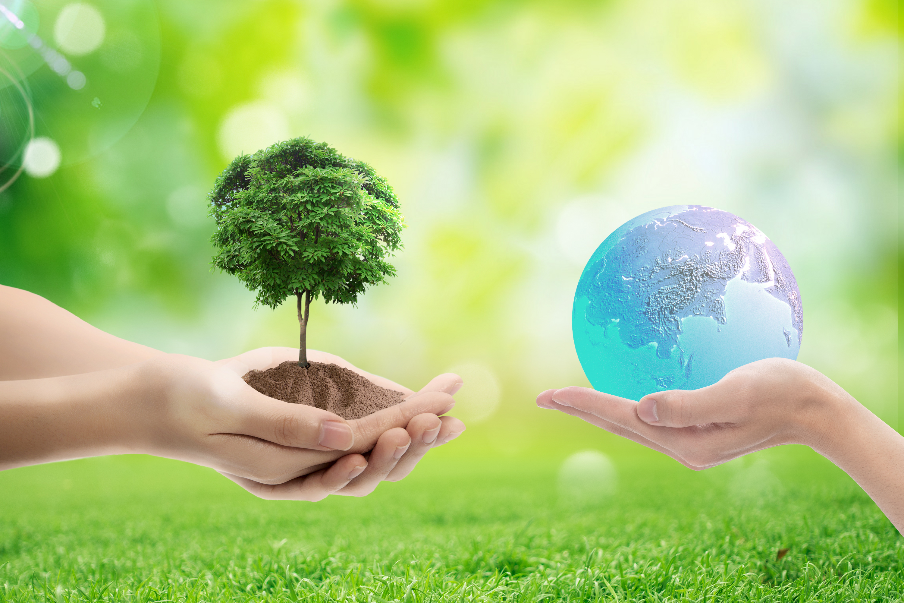 共护地球美好未来 工银瑞信基金奋力书写“绿色金融”大文章