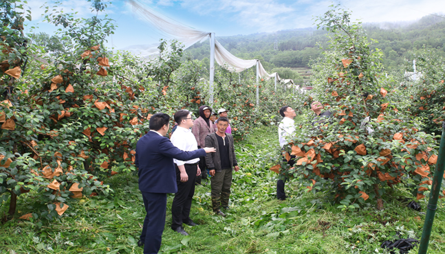 农超对接 红旗连锁助力凉山州农产品销售
