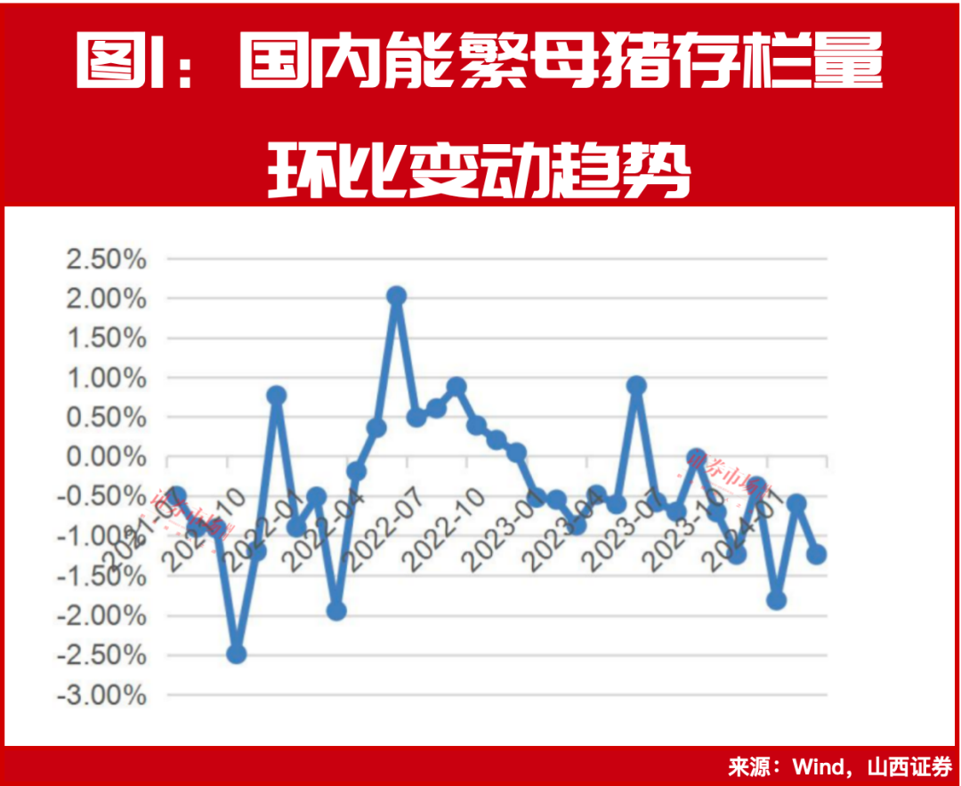 拐点来临！牧原、温氏等公司抢跑猪周期