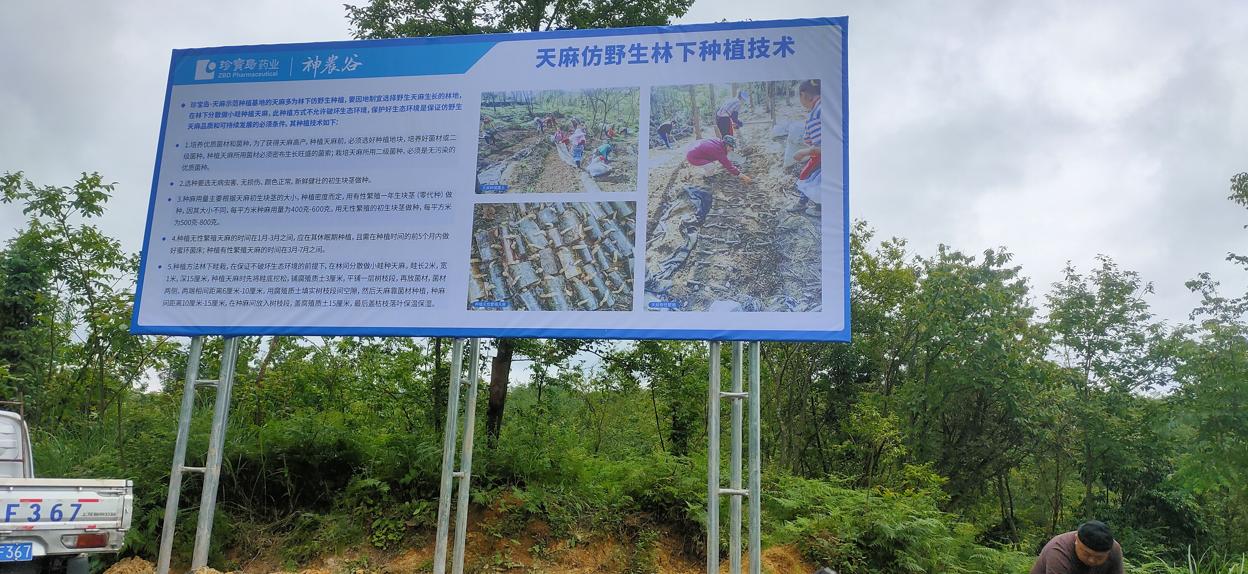 珍宝岛药业贵州神农谷多个产业项目稳步推进