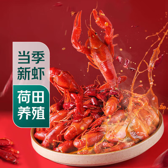欧洲杯冠军奖杯花落谁家？京东七鲜超市与你共同见证荣耀时刻