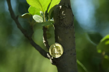 东方雨虹MSCI ESG评级再获A级，多项ESG评级取得稳步提升
