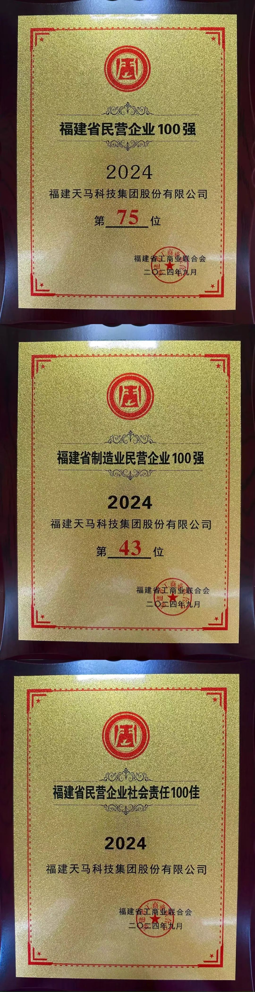 连续6年上榜！天马科技集团入选“福建省民营企业100强”、“福建省制造业民营企业100强”、“民营企业社会责任100佳”！