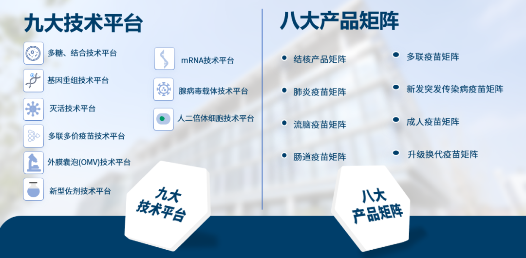 喜报！智飞生物成功入选2024年全国工商联科技创新典型案例和研发投入榜单