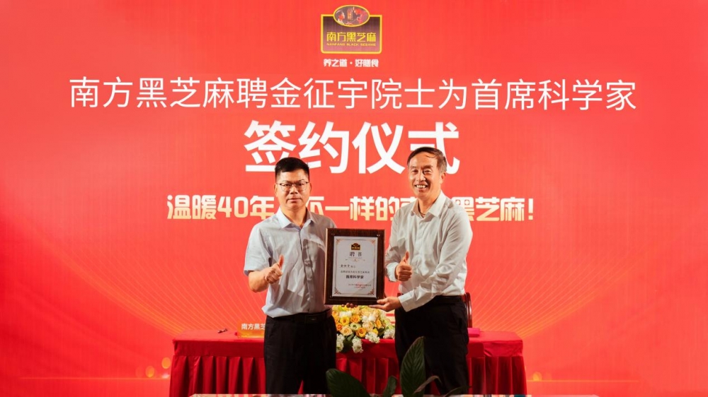 南方黑芝麻荣获“第一品牌”等认证，持续彰显行业领军地位