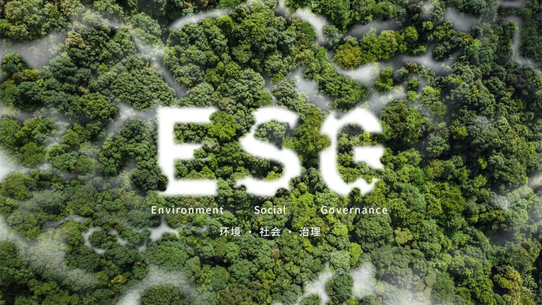 蝉联A级，东方雨虹彰显可持续发展硬核实力
