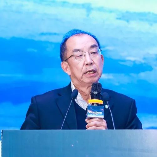 数仿现实 智真融合丨“2024软通动力AI+数字孪生创新发展论坛”成功举办