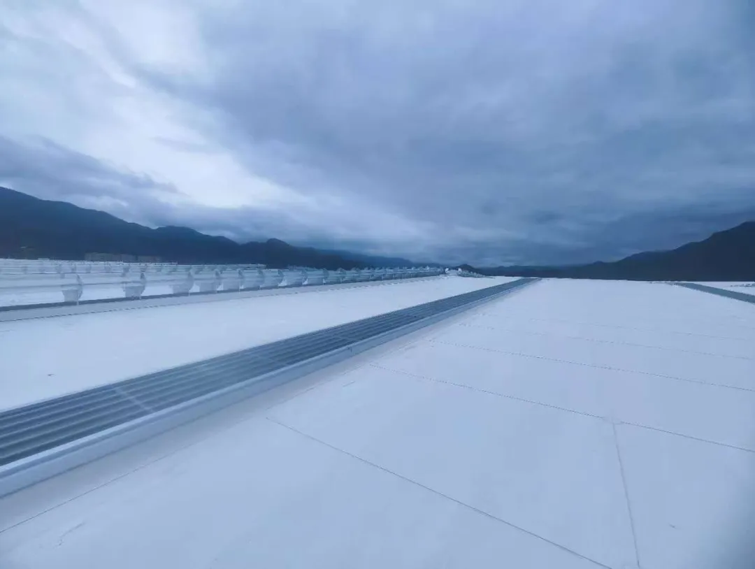 以匠心铸就品质，东方雨虹助力爱玛新能源项目建设获赞誉