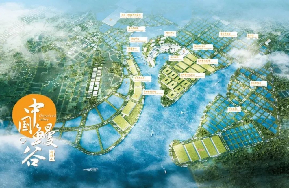 天马科技集团董事长陈庆堂先生荣膺“2024中国农业名片·十大领袖人物奖”，奏响鳗鱼产业富强乐章
