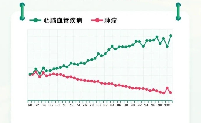国寿理赔大数据：2024年赔付超600亿，温暖守护每一刻