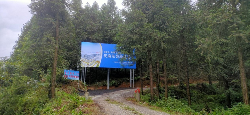 珍宝岛药业加快构建“中药材+AI”体系 助力亳州中医药产业大模型建设