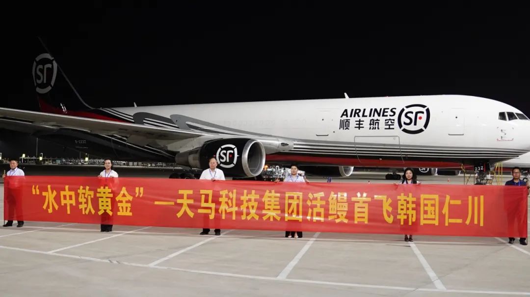 花湖机场首单鲜活水产品（天马活鳗）试航成功