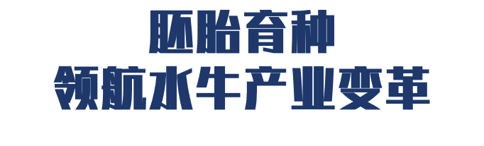 破局种源