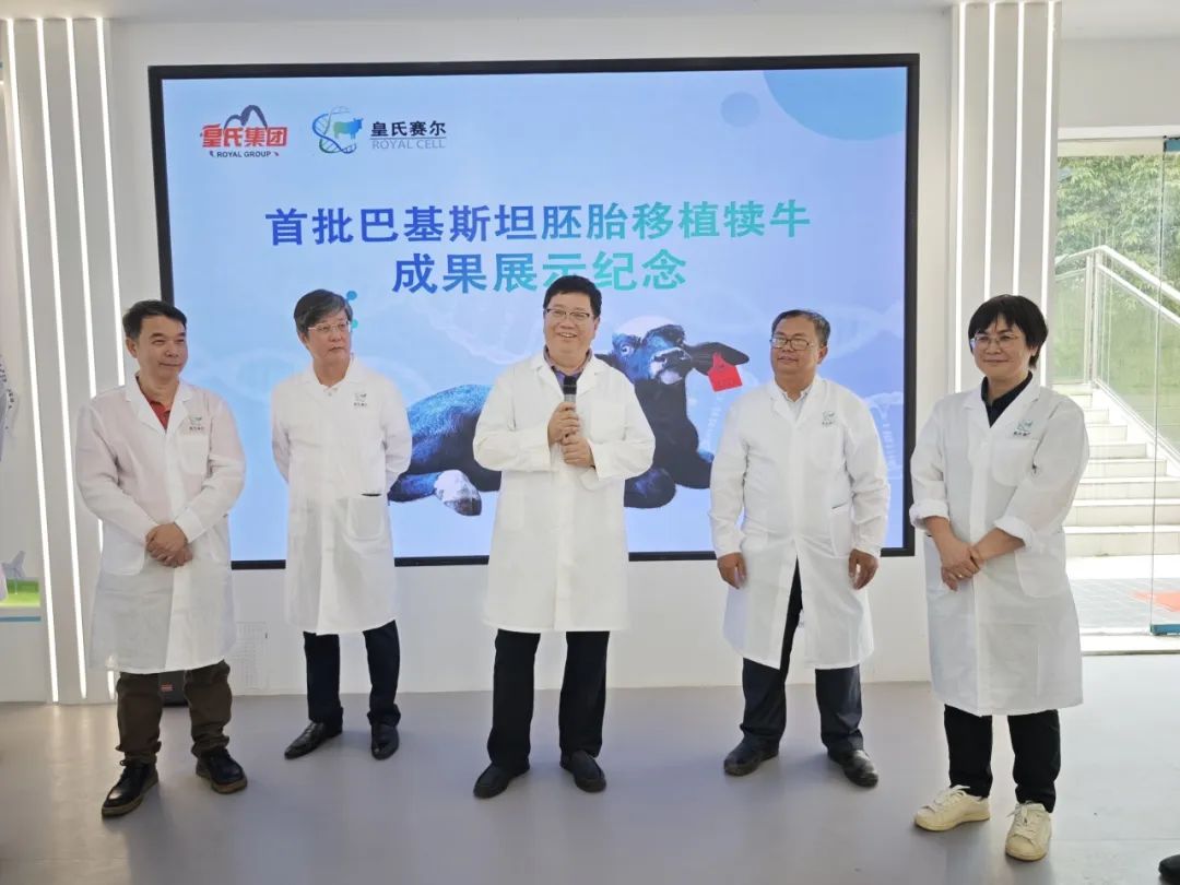 热烈庆祝全国首批进口胚胎移植犊牛在皇氏赛尔诞生——广西奶水牛种源攻关交出历史性答卷