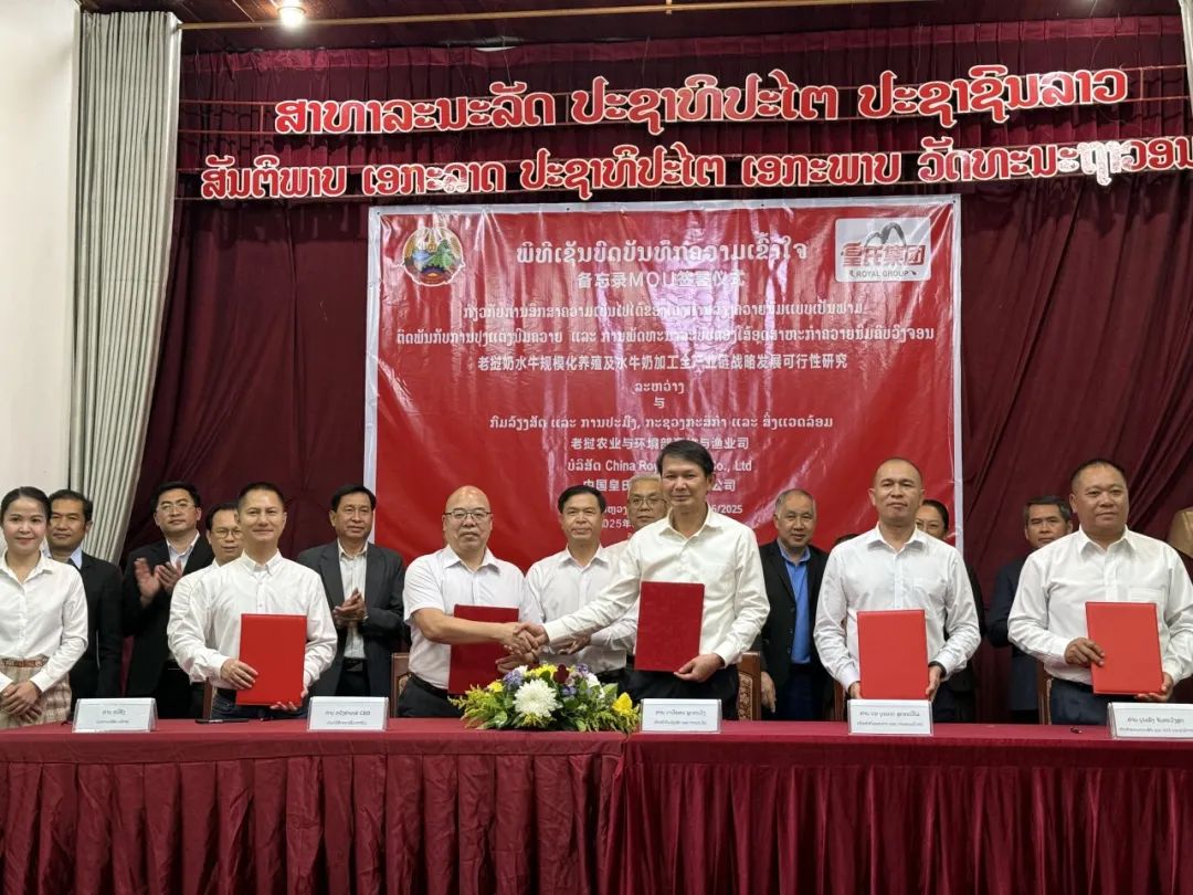 擘画全球乳业版图，皇氏集团与老挝共启水牛奶产业新征程