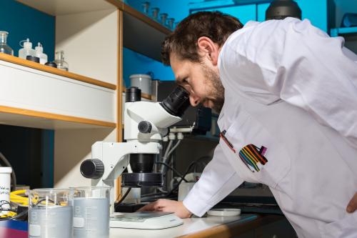 德爱威130年：创新、用户、品质构筑百年品牌