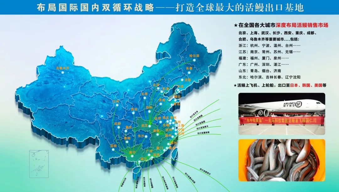 破垄断，立龙头！天马科技以创新引领国鳗崛起