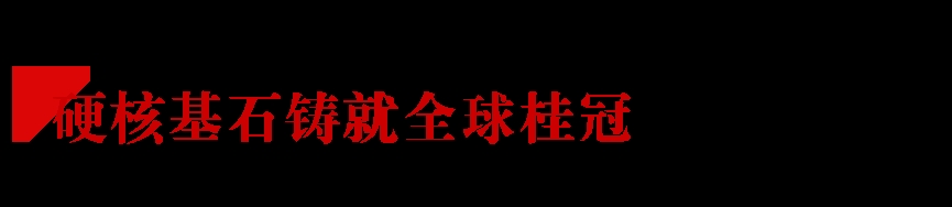 坚韧图成 永创新高 东方雨虹全球化视野再进一步