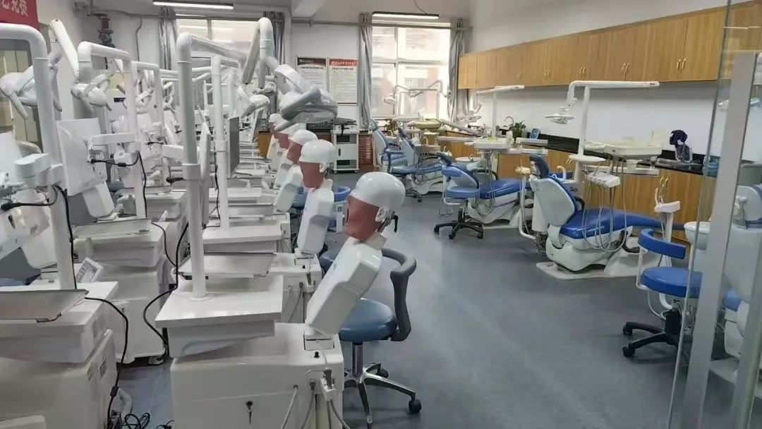 重磅！陕西国际商贸学院2025本科招生七大亮点！