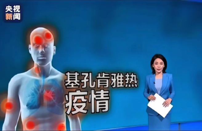 基孔肯雅热爆发 广东、北京驱蚊产品热销 京东超市防护专场紧急上线