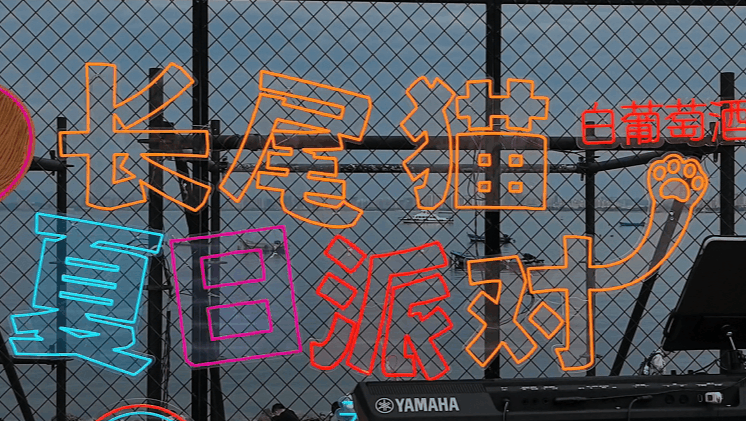 现场超嗨！长尾猫送出的快乐你领到了吗？