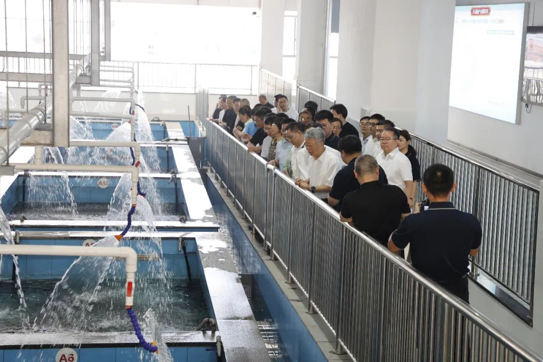 以新质生产力推动现代设施渔业高质量发展|福建省政协主席滕佳材一行莅临天马科技集团考察调研