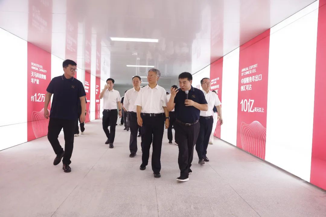 以新质生产力推动现代设施渔业高质量发展|福建省政协主席滕佳材一行莅临天马科技集团考察调研