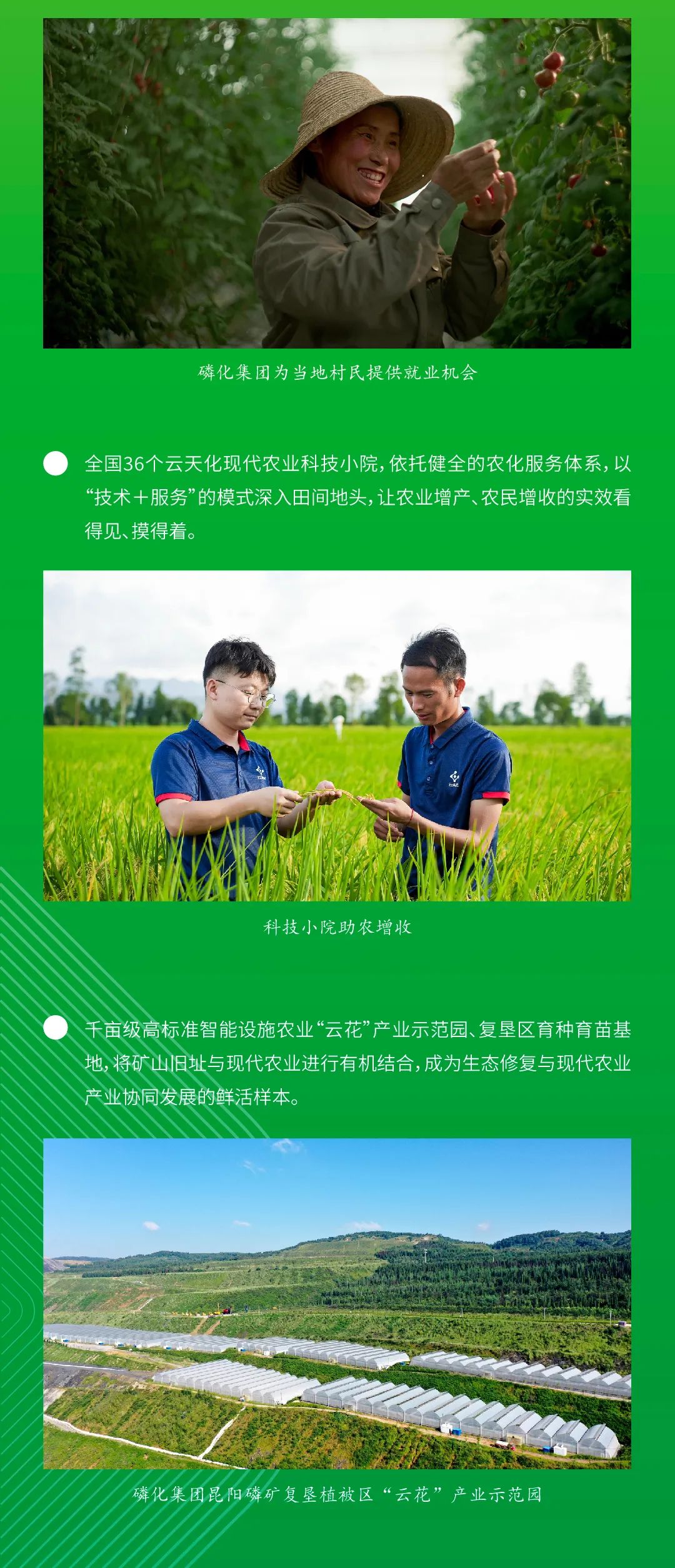 云天化：这份绿色账单有看点