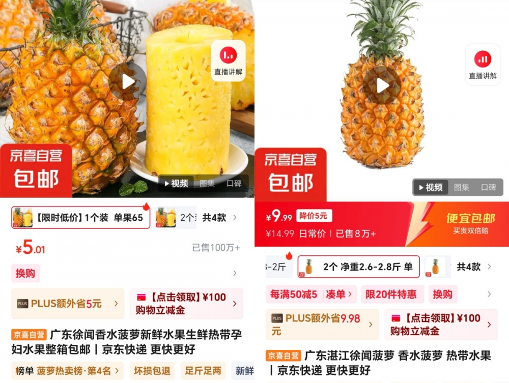 京东京喜自营成徐闻菠萝最大线上销售平台 销量超260万斤