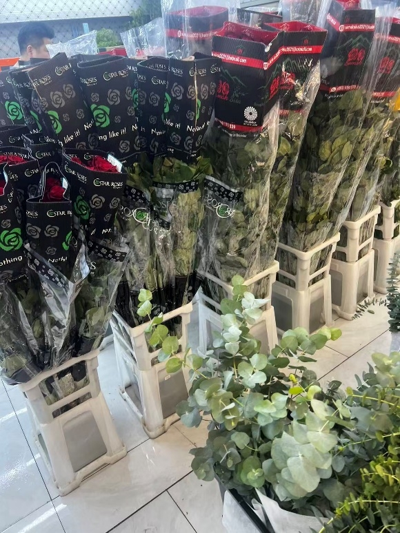 中国扩大进口厄瓜多尔玫瑰规模 京东跃居成中国规模最大的进口及包销商