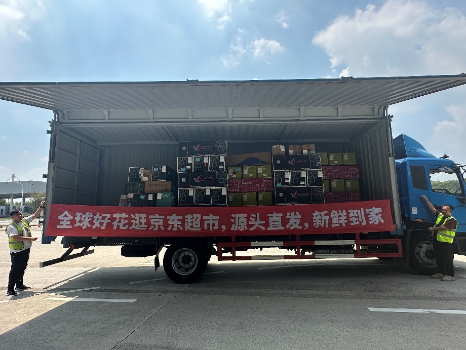 中国扩大进口厄瓜多尔玫瑰规模 京东跃居成中国规模最大的进口及包销商