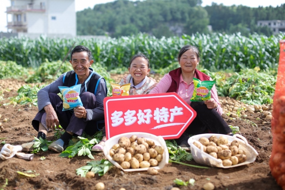 拼多多发布Q2财报，“千亿扶持”生态效用显现，供需两侧实现高质量发展  ​