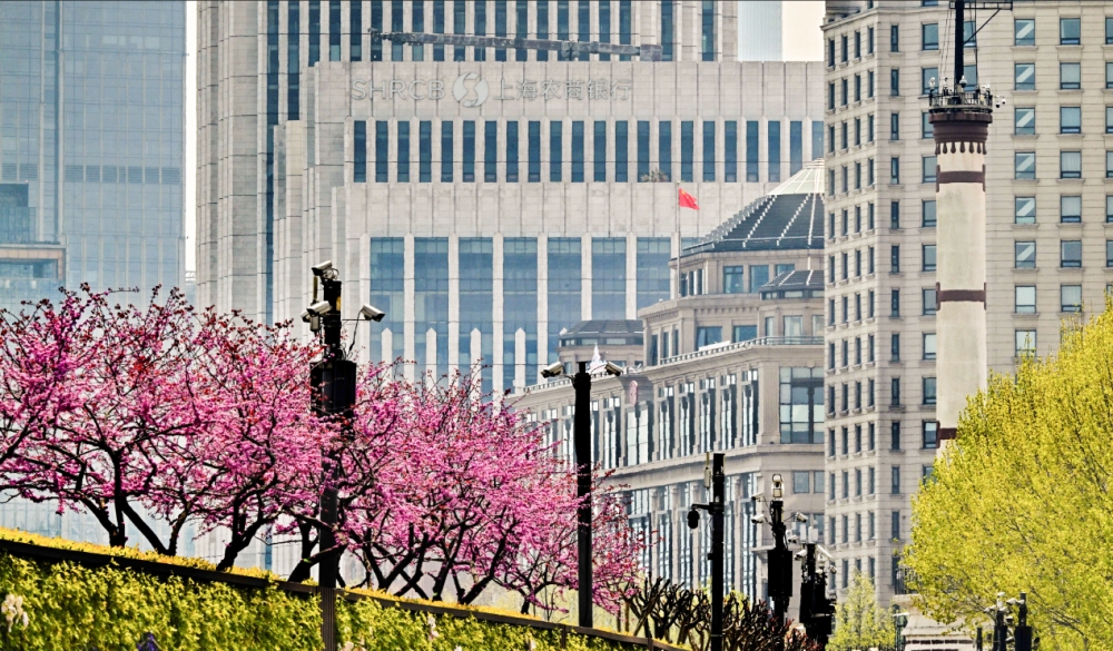 上海农商银行：廿载践行社会责任 以价值创造共绘美好图景