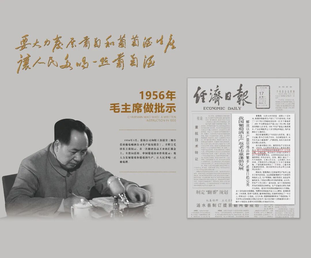长歌AI葡萄酒体验中心开放！偏甜葡萄酒纷纷“涨停”