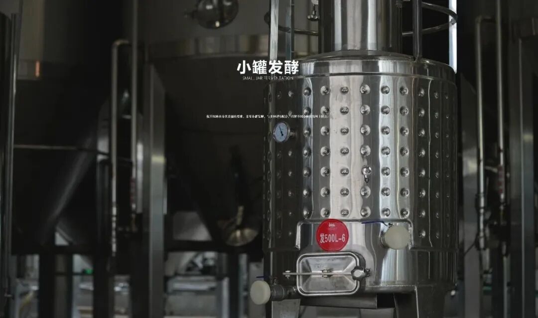 长歌AI葡萄酒体验中心开放！偏甜葡萄酒纷纷“涨停”