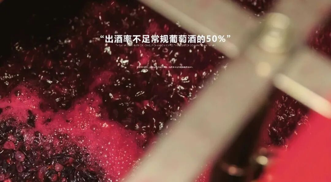 长歌AI葡萄酒体验中心开放！偏甜葡萄酒纷纷“涨停”