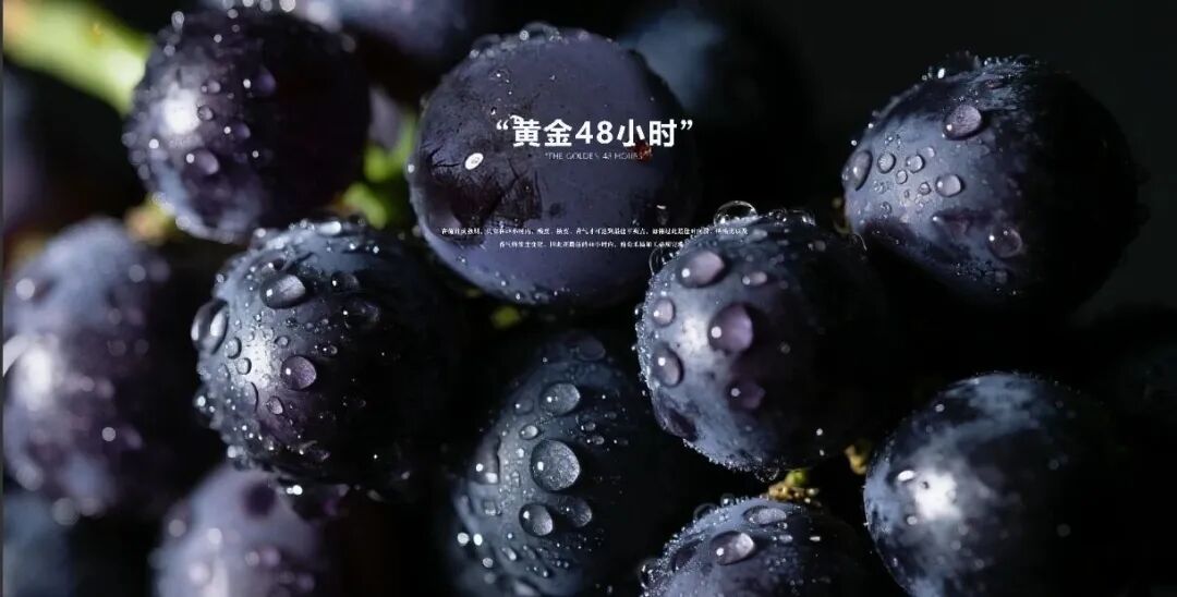 长歌AI葡萄酒体验中心开放！偏甜葡萄酒纷纷“涨停”