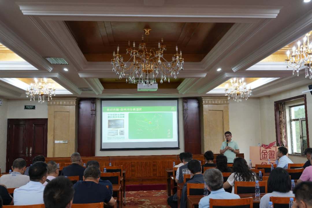 我是股东 | 走进沪市上市公司“金徽酒”（二）