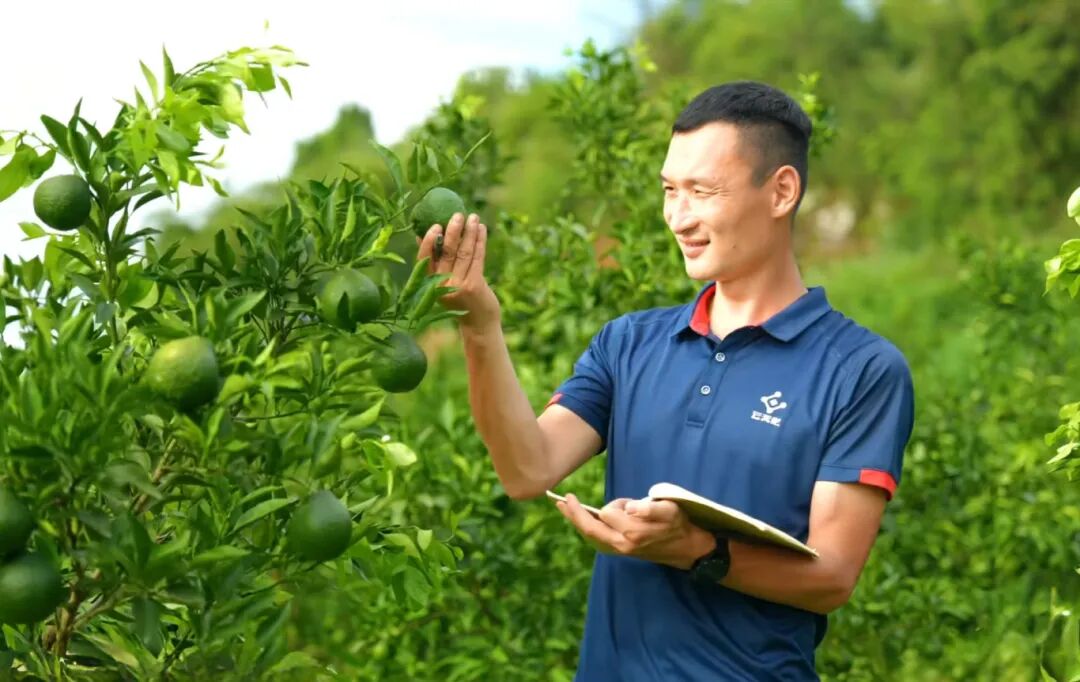 云天化：“肥”沃田间，“丰”景如画