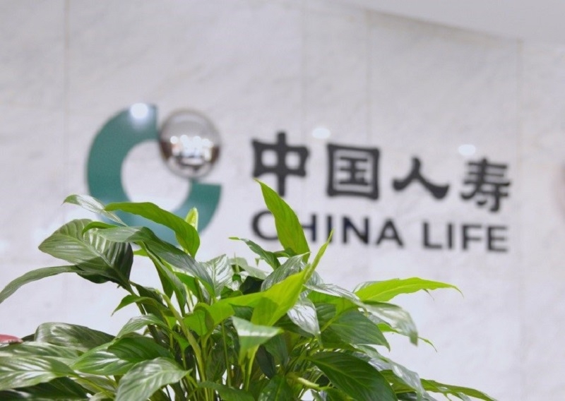 绿水青山间的保险力量：中国人寿绿色金融体系助经济生态共生