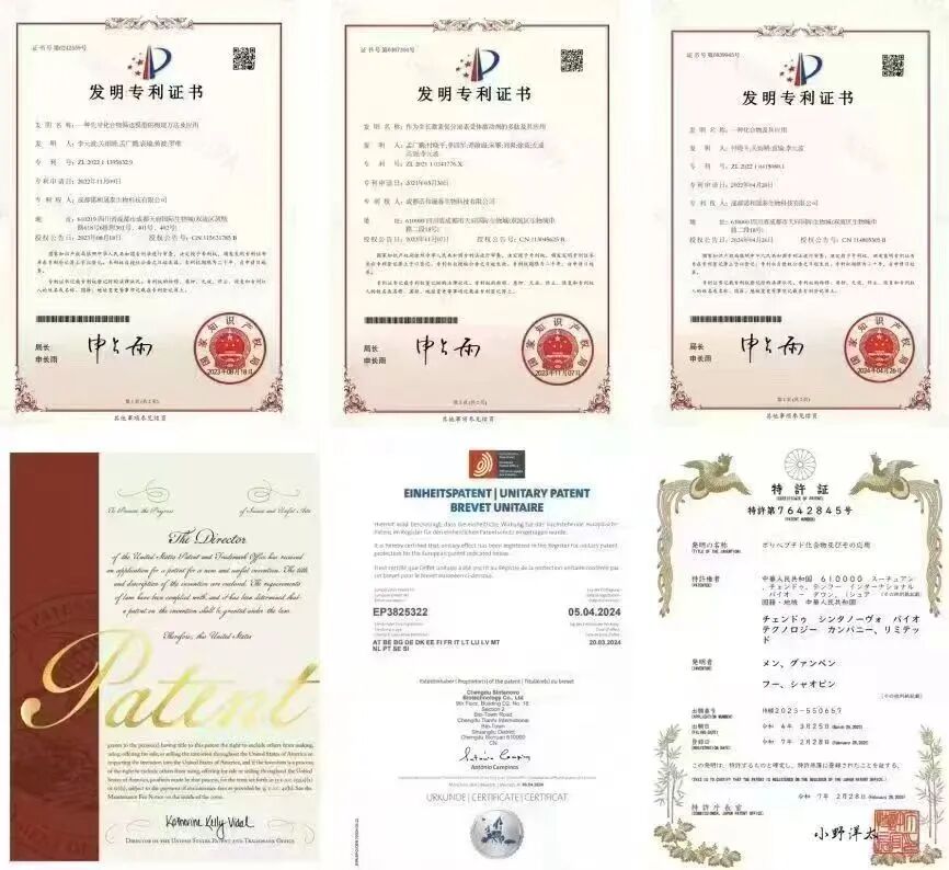 创新引航丨阳光诺和以双自主平台为核，构筑生物医药新质发展格局
