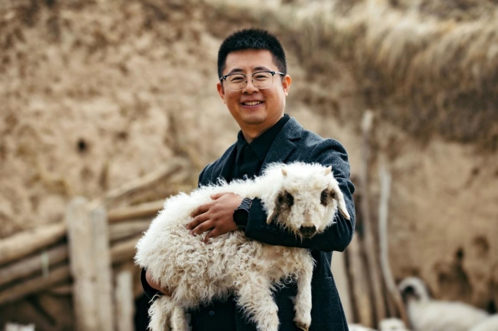 普惠与聚焦，拼多多十年穿越周期的增长哲学