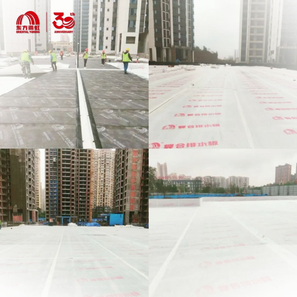 东方雨虹：标准先行，质造“好房子”