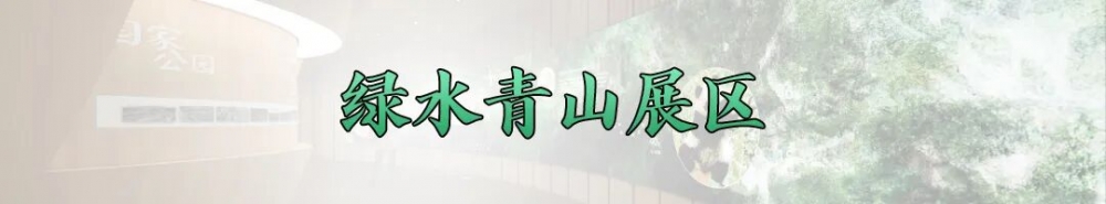 中国馆获大阪世博会大型自建馆展示金奖，馆内展陈有何亮点？