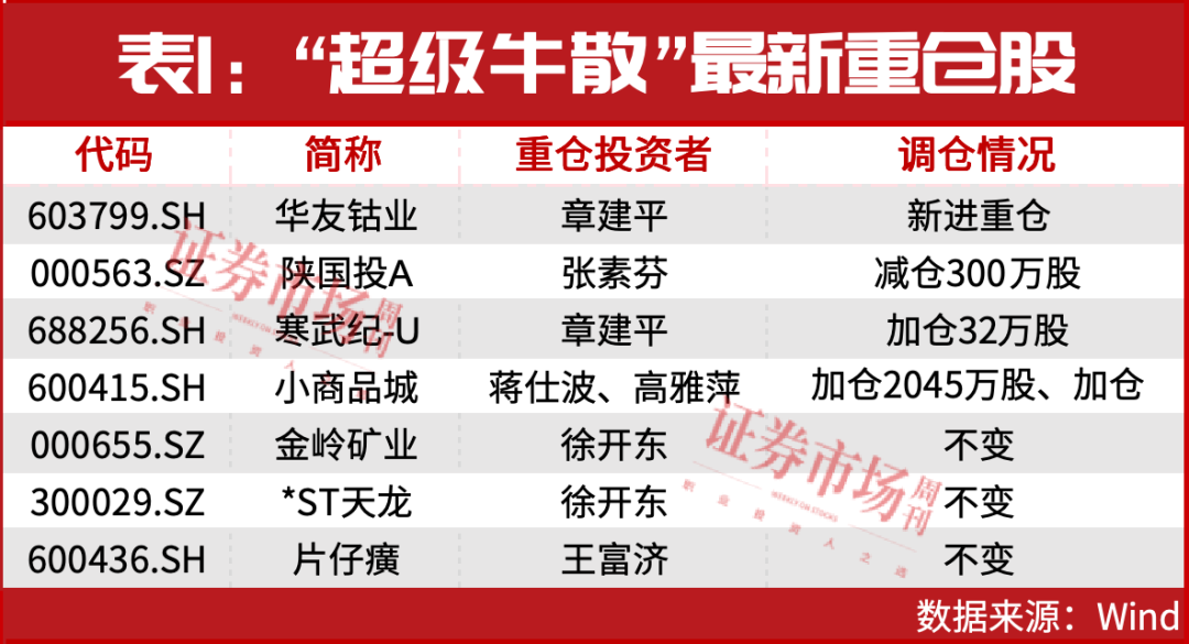 “国家队”买入！牛市进入新阶段