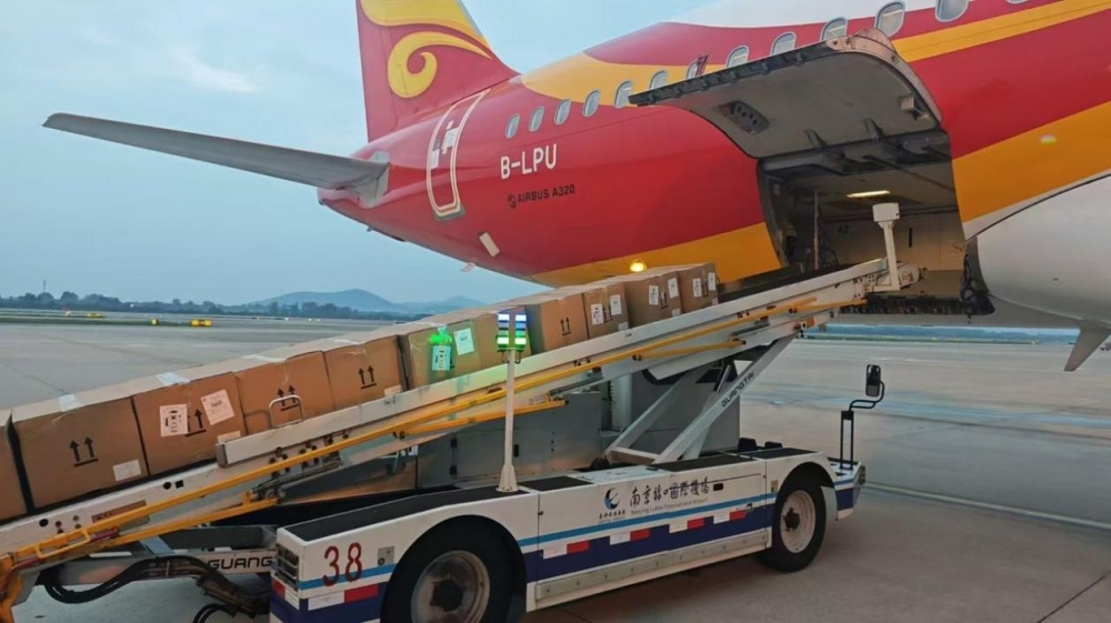 单日5000斤！12小时产地空运直达！京东超级供应链让香港大闸蟹价格平均降20%