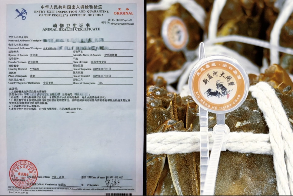 单日5000斤！12小时产地空运直达！京东超级供应链让香港大闸蟹价格平均降20%