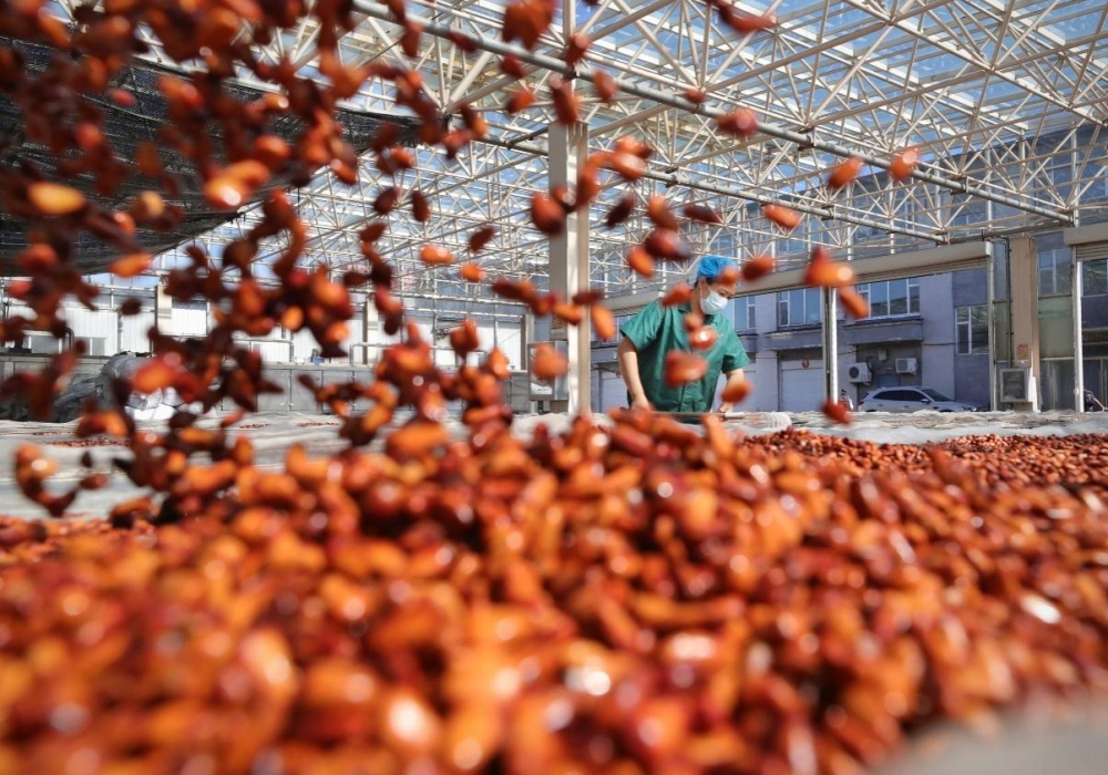 七赴进博之约，良品铺子铺展国产坚果“品质地图”