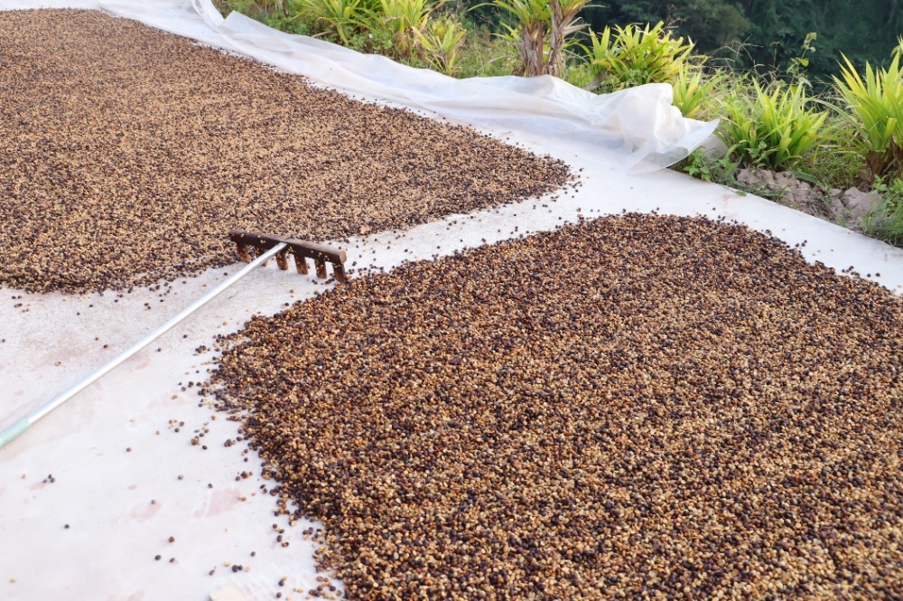 拼多多“千亿扶持”落地半年，“包邮区”持续扩大，更多地区享受便利网购服务